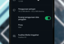 7 Cara Mengatasi Format File Tidak Didukung di WhatsApp Saat Upload Video