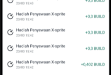 Cara Menyewakan X-Prite di Apk X World dan Hasil Build Yang Didapat