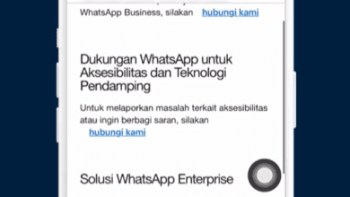 6 Penyebab Format File Tidak Didukung Saat Upload Video di WA Vivo