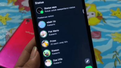 Solusi Tidak Bisa Membuat Story Foto dan Video di WhatsApp Vivo 2025