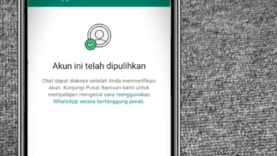 3 Cara Mengatasi WA Kena Spam Paling Simple