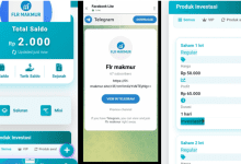 Jangan Investasi Di Aplikasi FLR Makmur, Skema Ponzy Rawan SCAM
