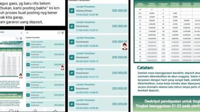 Investasi Di Aplikasi MBA Apakah Aman? Review Pengalaman Terbaru