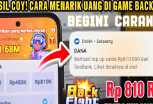 Cara Narik Uang Di Back Fight Rp810.000 Langsung Cair Ke Dana