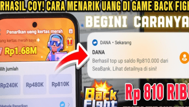 Cara Narik Uang Di Back Fight Rp810.000 Langsung Cair Ke Dana