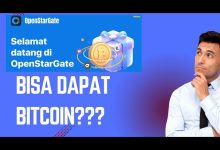 Open Stargate Aplikasi Viral, Tapi Apa Benar Bisa Menghasilkan?