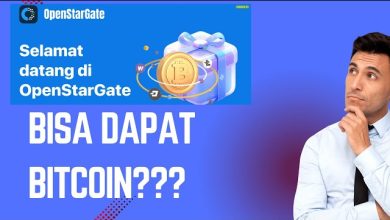 Open Stargate Aplikasi Viral, Tapi Apa Benar Bisa Menghasilkan?