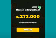 3 Cara Tarik Uang Kertas Hijau di Fruit Boom Tanpa Meningkatkan Hadiah 1.7x