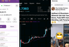 Jangan Investasi di Aplikasi PI NETWORK, Review Fakta Skema Ponzi Penipuan!