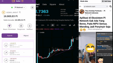 Jangan Investasi di Aplikasi PI NETWORK, Review Fakta Skema Ponzi Penipuan!