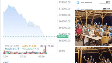 Wapex SNAI Investasi Apakah Aman Atau Penipuan? Review Terbaru!