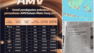 Fakta Aplikasi AMV Penghasil Uang, Sebentar Lagi Akan SCAM?