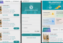 Investasi Di Aplikasi Rajawings Apakah Aman? Hati-hati Sebelum Daftar