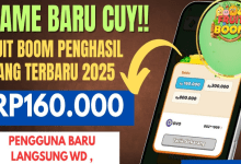 Review Fruit Boom APK Penghasil Uang, Benarkah Terbukti Membayar atau Penipuan?