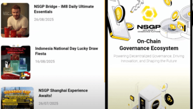 Jangan Investasi di Aplikasi NSGP Sebelum Tahu Skema Ini