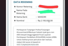 Cek Segera Bantuan Insentif Guru Non ASN di Info GTK Tahun 2025 Ini Nominalnya!