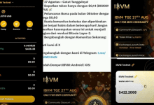 Apakah Aplikasi IBVM WALLET Aman Untuk Investasi? Cek Fakta Sebenarnya