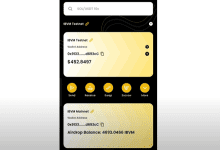 Cara Bridge IBVM Wallet Terbaru untuk Pemula Paling Gampang!