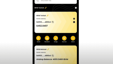 Cara Bridge IBVM Wallet Terbaru untuk Pemula Paling Gampang!