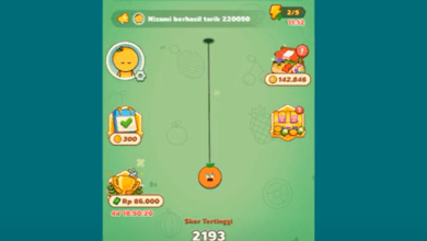 4 Cara Mendapatkan Saldo Dana dari Game Fruit Boom Apk Terbaru