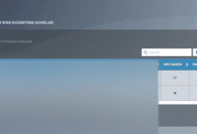 Solusi NIK GANDA di VervalPD, OPS Wajib Tahu Ini!