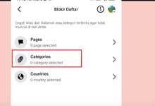 Cara Menaikan Dolar Di Facebook Pro Agar Cepat Gajian!