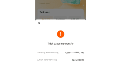 Apakah Fizzo Novel Sudah SCAM Penipuan? Review Penarikan Terbaru!
