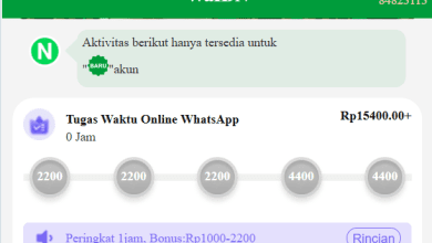 Apakah Aplikasi WaIDN Apk Terbukti Membayar atau Penipuan? Review Jujur
