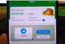 6 Cara Nuyul Aplikasi WaIDN Terbaru 2025 Apk Mirip Goshare  