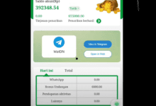 Cara Menghasilkan Uang di Aplikasi WaIDN Secara Gratis Modal WhatsApp