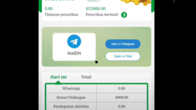 Cara Menghasilkan Uang di Aplikasi WaIDN Secara Gratis Modal WhatsApp