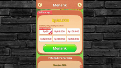 Review Jujur Game Fruit Packing, Apakah Menghasilkan Uang? Cek Fakta!