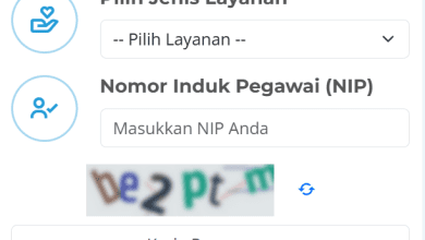 5 Cara Melihat Progres Pengajuan NIP PPPK Paruh Waktu 2025! Ada 5 Status/Info yang Wajib Anda Tahu!