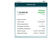 Finance Wise Sudah SCAM, Stop Deposit fwisefx.com Tidak Bisa Diakses