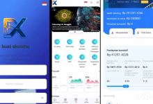 Aplikasi DX Exchange Apakah Aman atau Investasi Bodong penipuan? Review!