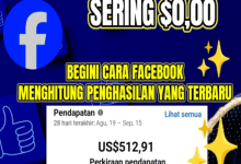 Besarnya Penghasilan Konten Facebook Pro 2025 Dipengaruhi Ini