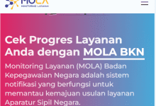 2 Cara Cek Nama Honorer yang BTS Saat Pengajuan NIP PPPK Paruh Waktu 2025!