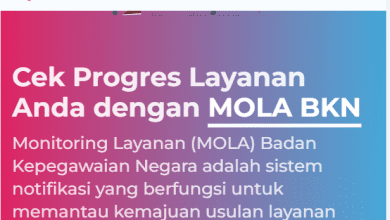 2 Cara Cek Nama Honorer yang BTS Saat Pengajuan NIP PPPK Paruh Waktu 2025!