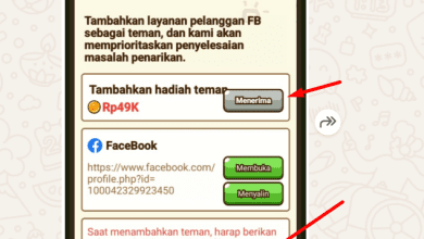 7 Cara Dapet 49K Koin Gratis Dari Developer Game Crazy Rock