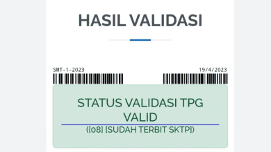 Cara Agar Validasi Info GTK Tahap 3 Valid dan TPG Cair!