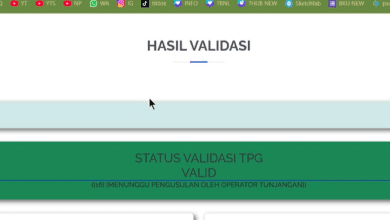 10 Penyebab Info GTK Tahap 2 Belum Valid Setelah Validasi
