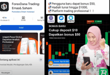Review Jujur Aplikasi ForexDana Apk Trading Terbaru Apakah Aman?