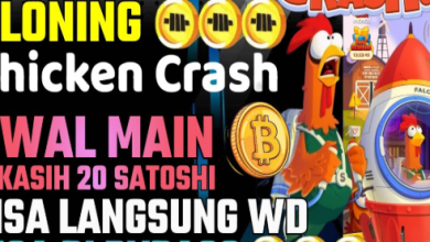 6 Cara Ampuh Kloning Chicken Crash Bitcoin, Teknik Nuyul Terbaru!