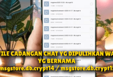 Cara Mengembalikan Chat WhatsApp yang Terhapus tapi Belum Dicadangkan