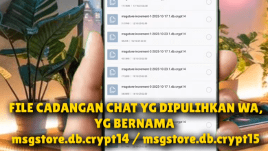 Cara Mengembalikan Chat WhatsApp yang Terhapus tapi Belum Dicadangkan