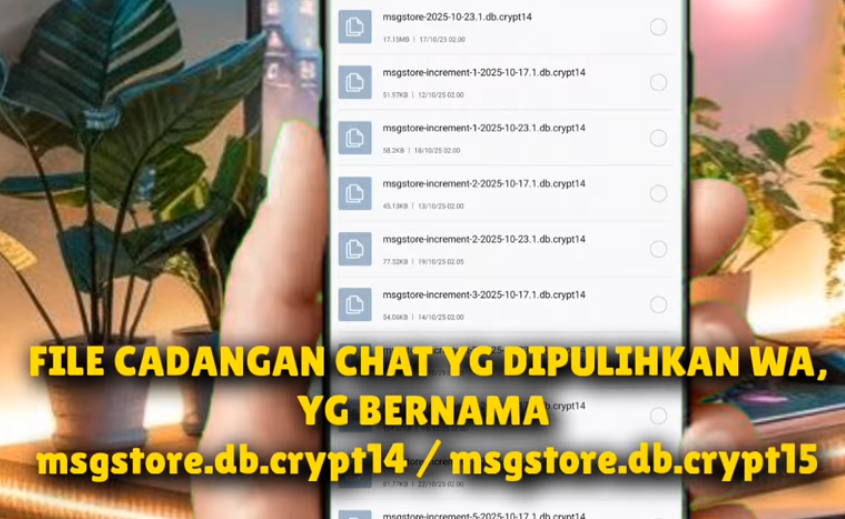 Cara Mengembalikan Chat WhatsApp yang Terhapus tapi Belum Dicadangkan