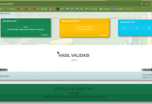 5 Cara Mengatasi InfoGTK Invalid Data BKN Tidak Sesuai