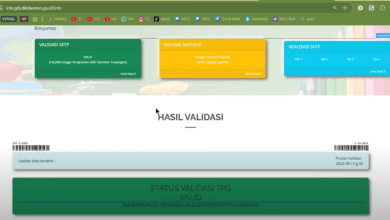 5 Cara Mengatasi InfoGTK Invalid Data BKN Tidak Sesuai
