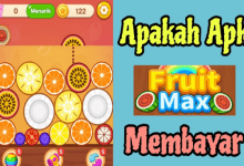 Review Fruit Max Apk Penghasil Uang Terbaru, Apakah Menjanjikan?
