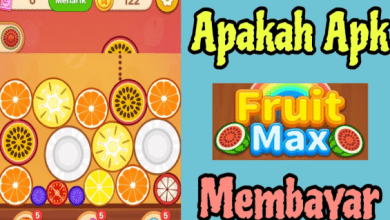 Review Fruit Max Apk Penghasil Uang Terbaru, Apakah Menjanjikan?